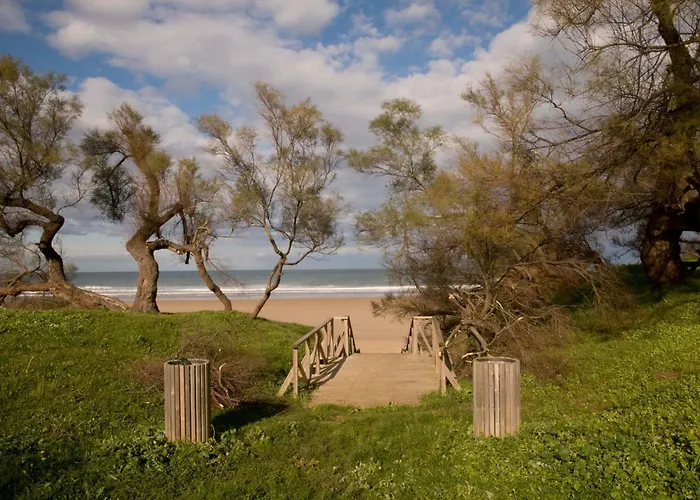 Semesterbostad Seles