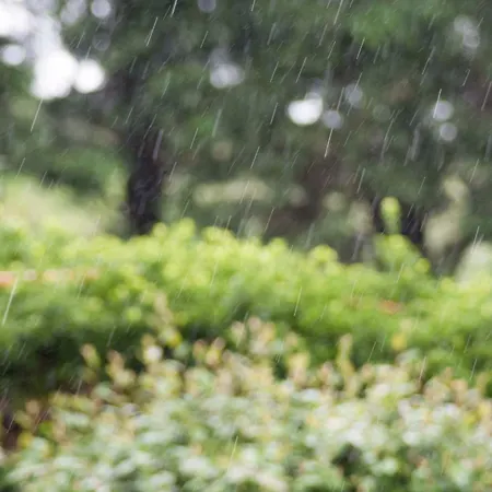 Дом отдыха Seles *