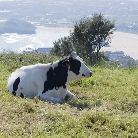 Дом отдыха Seles *