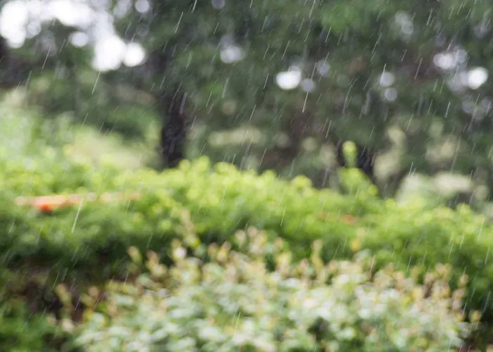 בית נופש Seles *